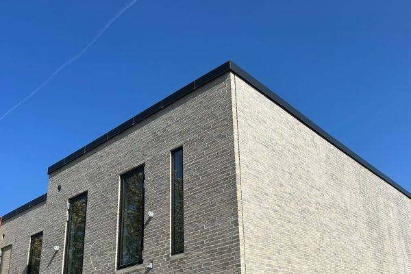vindskede